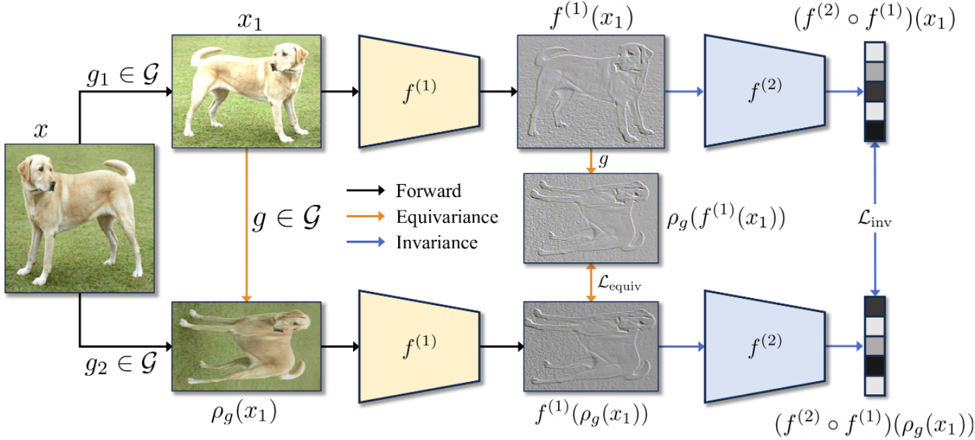 Soft Equivariance Regularization for Invariant Self-Supervised Learning