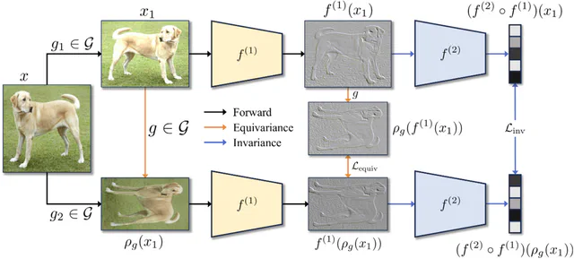 Soft Equivariance Regularization for Invariant Self-Supervised Learning