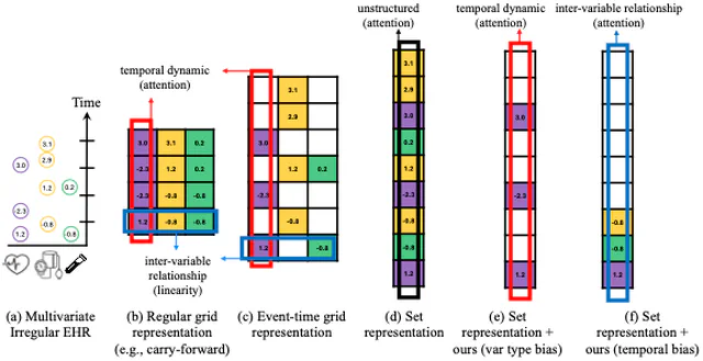 Structure-Aware Set Transformers: Temporal and Variable-Type Attention Biases for Asynchronous Clinical Time Series